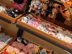 -海底捞火锅(江宸天街店)