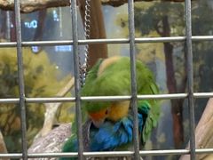 -燕莎奥特莱斯购物中心