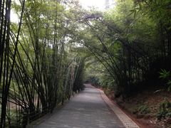 -四洞沟景区