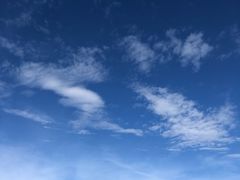 -三姐妹·海鲜大排档