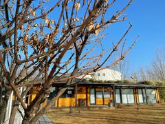 -禧宴Joyous Restaurant(禧园店)