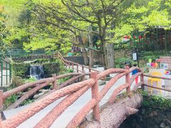 -藏龙百瀑风景区