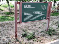 -大兴滨河森林公园