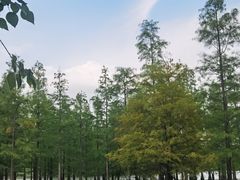 -白鹭湾湿地公园