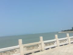 -野狸岛