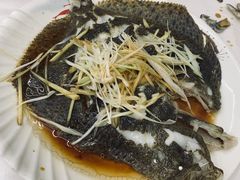清蒸多宝鱼-北戴河庆山饭店·海鲜砂锅粥(北戴河黑石路店)