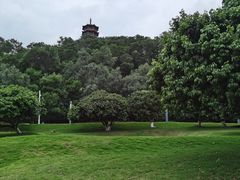 -红花山公园