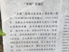 -北京周口店北京人遗址博物馆
