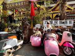 -西双版纳原始森林公园