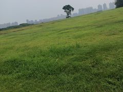 -盘龙城国家考古遗址公园