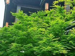 -香积寺