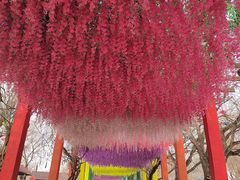 -雪山彩虹谷景区