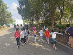 -上海都市菜园