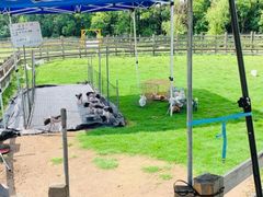 -前小桔亲子创意农场·草莓采摘·露营烧烤