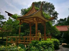 -大屏嶂森林公园
