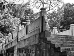 -晓港公园