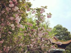 -长沙市青少年宫