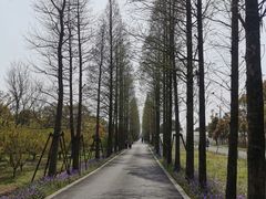 -广富林郊野公园