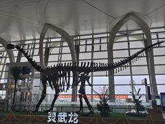 -银川河东国际机场