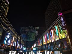 -巴依老爷新疆美食(望京小街店)