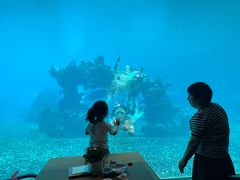 -涛·海底餐厅·美人鱼·自助餐·海底隧道(三亚海棠湾洲际度假酒店)