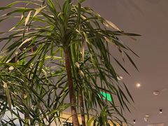 -西堤牛排(合肥之心城店)