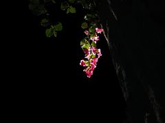 -惠州金海湾嘉华度假酒店