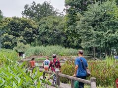 -成都市活水公园