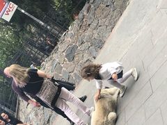 -加拉达石塔