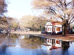 -上海共青森林公园