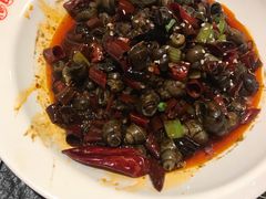 -福苗小骆驼烧烤(大唐不夜城店)