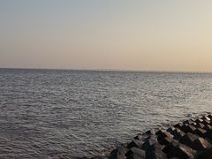 -南汇嘴观海公园
