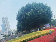 -石炮台公园
