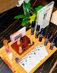 -VELEE·SPA高定疗愈会所