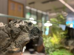 -绿茶餐厅(青岛城阳万象汇店)