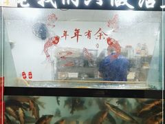 -肥鱼屯活鱼锅(惠工街店)