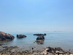 -小麦岛公园