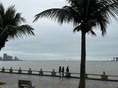 -港珠澳大桥(珠海段)