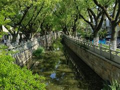 -安亭老街