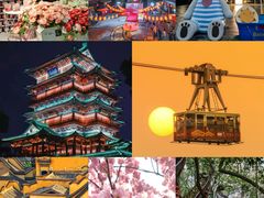 -铁山坪森林公园