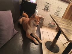 -小时光咖啡馆(北锣鼓巷店)