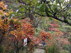 -西泰山风景区
