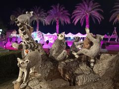 -清迈夜间动物园