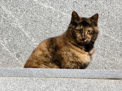 -华东政法大学(松江校区)