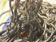 -萨莉亚意式餐厅(莲花国际广场店)