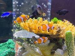 -长沙海底世界