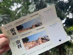 -宋井风景区