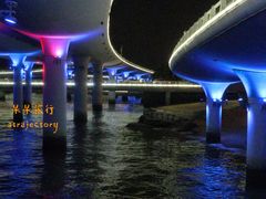 -演武大桥观景平台