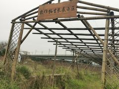 -光明小镇欢乐田园