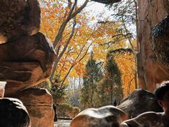 -东方华地城湿地温泉度假区